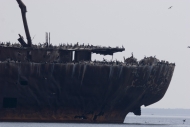 6EST - Колония бакланов на палубе заброшенного греческого корабля