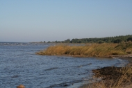 7LAT - Устье реки Светупе